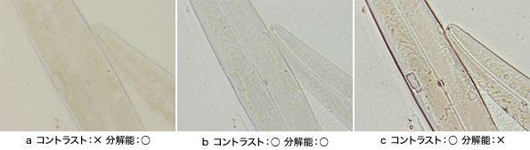 図5 明視野観察における分解能とコントラスト（珪藻）