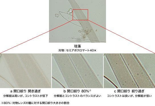 図4 開口絞りの調整による違い