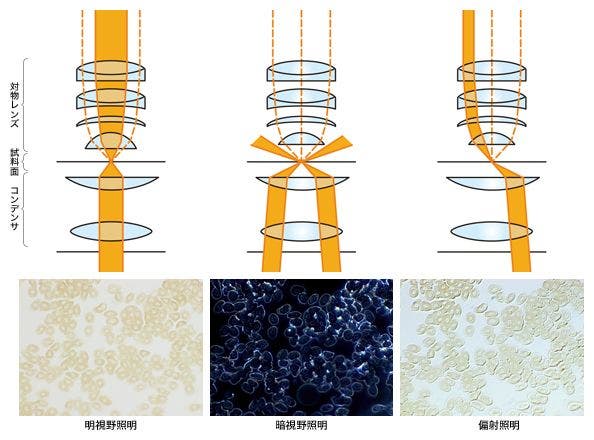 図3 照明による画像の見え方の違い