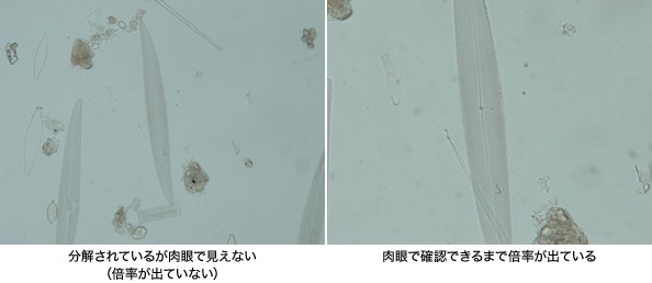 図9 倍率による分解能の違い