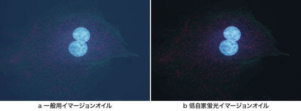 オイルの違いによる像の見え方