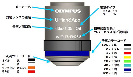 こだわりの対物レンズ選び ~開口数にこだわる~ | オリンパス こだわりの対物レンズ選び ~開口数にこだわる~ | オリンパス
