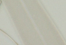 開口絞りの違いによる観察画像比較（珪藻）