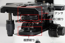 開口絞り、視野絞り、コンデンサ