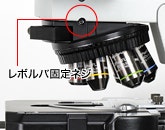 レボルバの固定