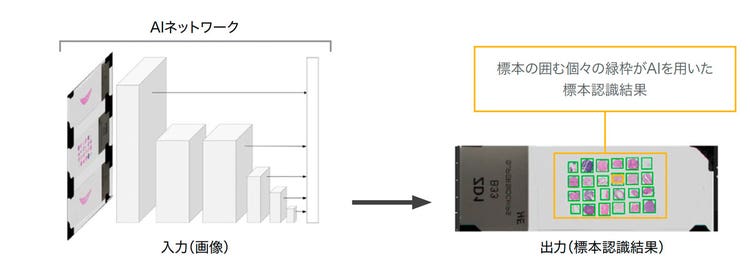 図３．標本認識AIネットワークと標本認識結果