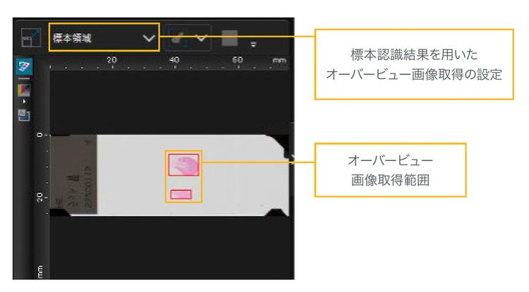 図５．画像認識結果を用いたオーバービュー画像取得範囲の指定