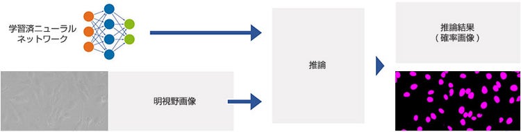 図5 学習済ニューラルネットワークの推論フロー