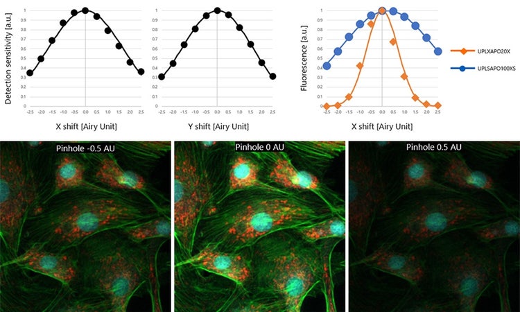 図６．（左上,中上）ピンホール光軸ズレ vs 検出感度測定値．（右上）ピンホール光軸ズレ vs UPLXAPO20X, UPSAPO100XSの蛍光強度．(下部)それぞれUPLXAPO20Xを用いて、ピンホール光軸がそれぞれ-0.5AU, 0AU, +0.5AUずれた状態で取得された細胞画像