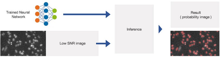 Figure 4 Applying the trained neural network (inference). The network has been trained to predict object positions and contours in varying conditions, including very low SNR images.