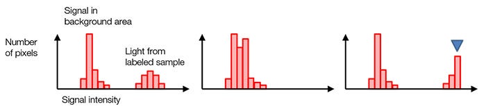 図7 – 標準的な露光（左）、露光不足（中央）、青色マーカーの位置で飽和した露光過多（右）の各ヒストグラム。