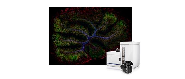 高精度スライドスキャナー　NFS-310 712FfRs1RxL._UF350,350_QL50_.jpg