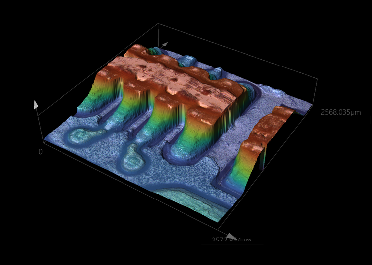 フォーカスバリエーション