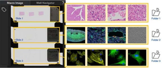 データの自動整理