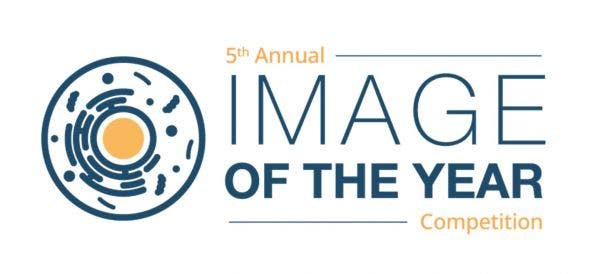 「第5回イメージ・オブ・ザ・イヤー」ロゴ