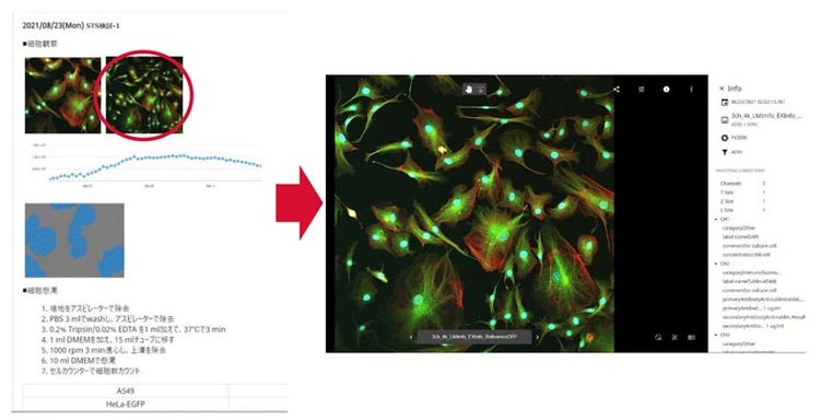 実験の考察をまとめたノートと連携した元となる研究データ（イメージ）