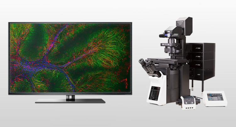 2022年版】顕微鏡のおすすめ13選！スマホで撮影できるタイプも | HEIM [ハイム] プロフェッショナル 1000倍の倍率の光学顕微鏡 4.0インチ TFT カラースクリーン 学校用多目的科学実験キット