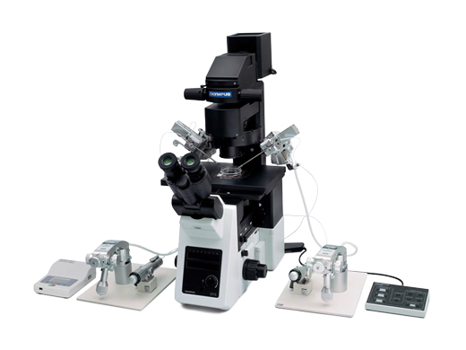 ヴィンテージ顕微鏡 IX3顕微鏡（ICSI） | Evident Scientific | Olympus