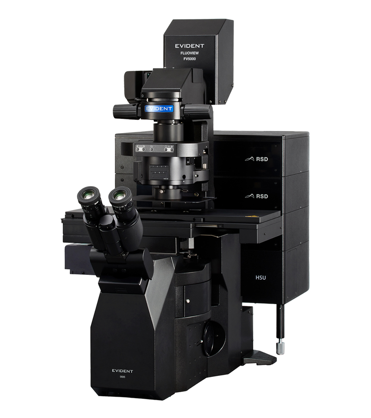 FLUOVIEW FV5000 共焦点レーザー走査型顕微鏡 | Evident Scientific