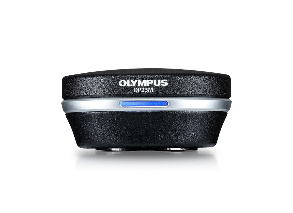 media_11bf8c58bf08abd885cd2481