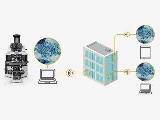 ネットワークによるライブ画像の共有