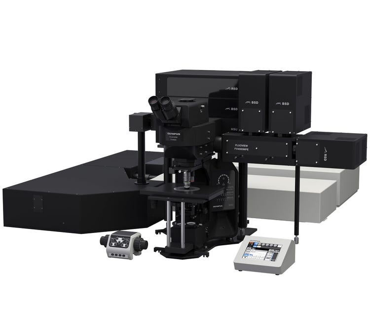 FLUOVIEW FV4000MPE 多光子励起レーザー走査型顕微鏡 | Evident