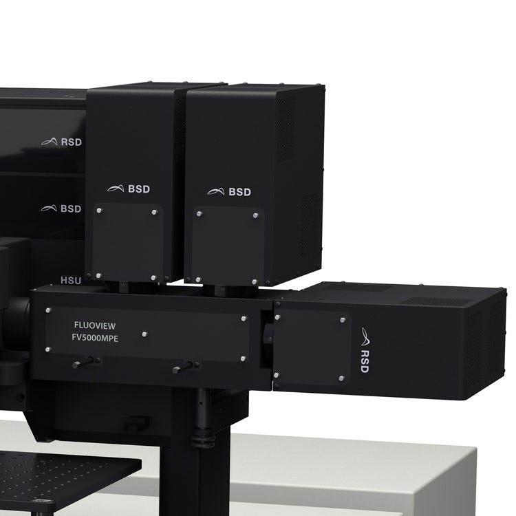 Six-channel non-descanned (NDD) module for the FLUOVIEW FV5000MPE multiphoton laser scanning microscope.