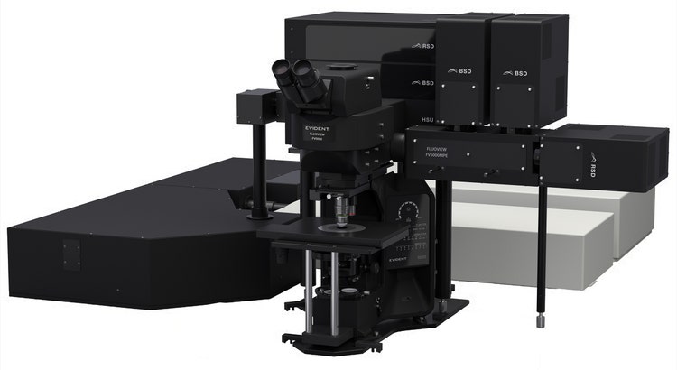 FLUOVIEW™ FV5000MPE 多光子励起レーザー走査型顕微鏡 | Evident