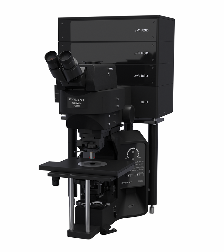 FV5000 confocal upright microscope system for eletrophysiology