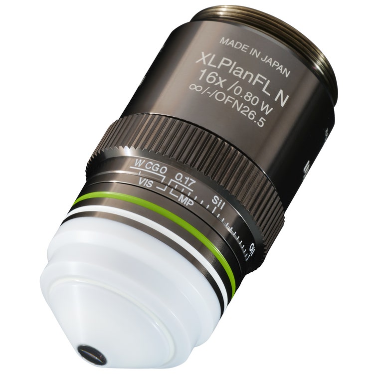 FLUOVIEW™ FV5000MPE 多光子励起レーザー走査型顕微鏡 | Evident