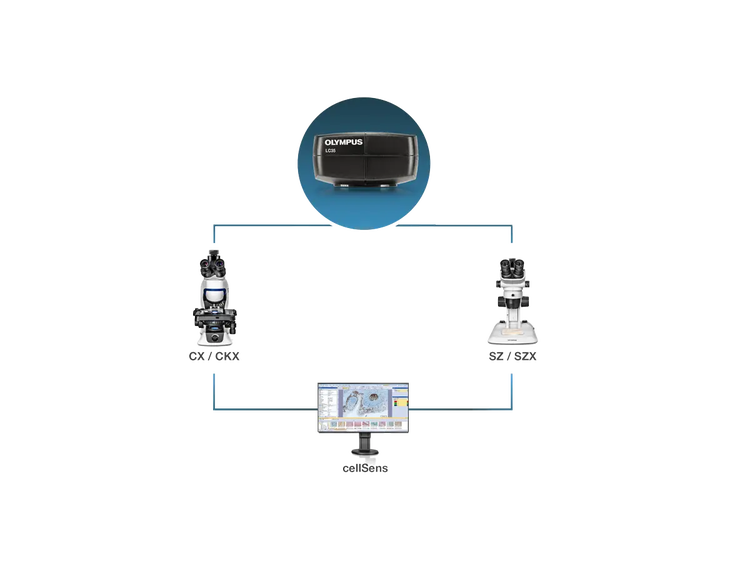 簡単な設定と利用開始