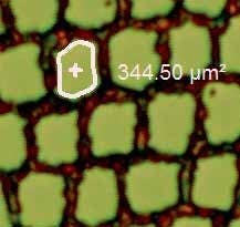 Magic wand (supra conductor)