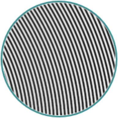 ハイスループットディスク スパイラル