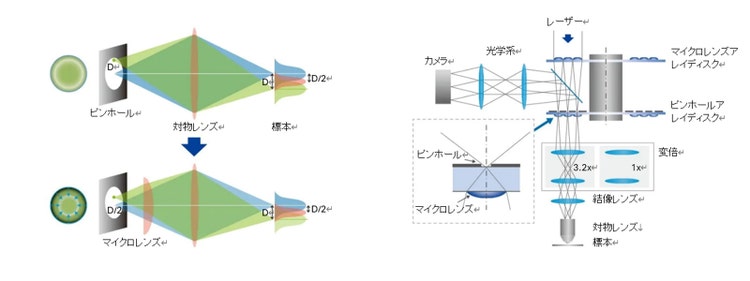 IXplore IX85 SpinSR 超解像顕微鏡 | Evident Scientific | Olympus