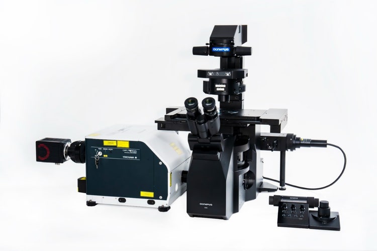 IXplore IX85 SpinSR 超解像顕微鏡 | Evident Scientific | Olympus