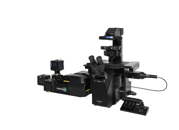 IXplore IX85 SpinSR 超解像顕微鏡 | Evident Scientific | Olympus