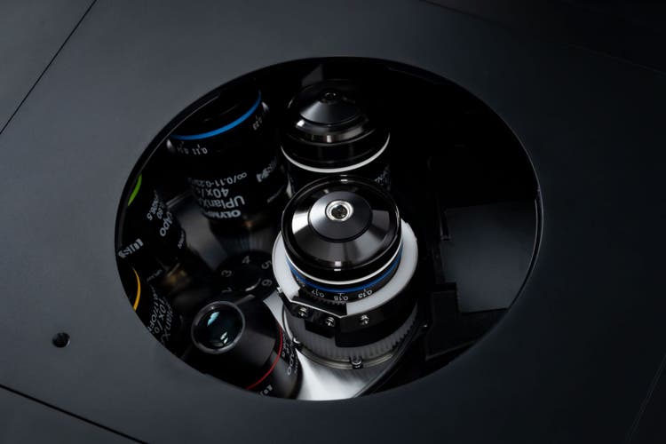 IXplore IX85 Pro 倒立顕微鏡システム | Evident Scientific | Olympus