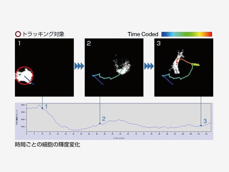 オブジェクトトラッキング