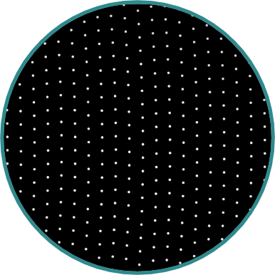 標準ディスク 50 µm：250 µm間隔