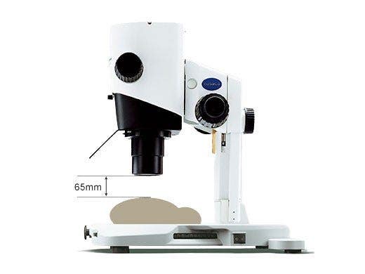 スクリーニングや発現確認の作業を大幅に効率化