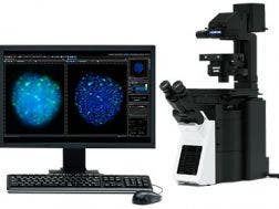 CX41 Upright Microscope | Evident Scientific | Olympus