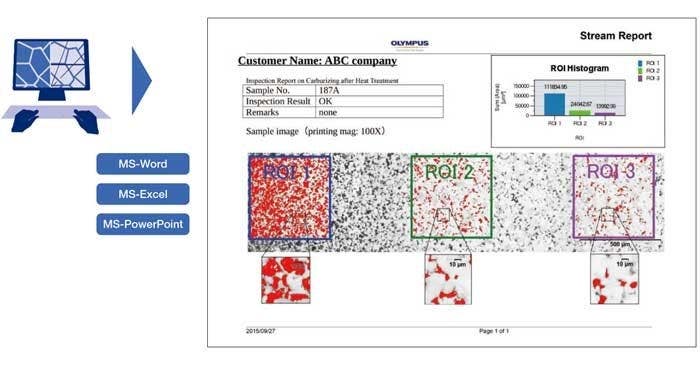 Professional report that summarizes particle counting data