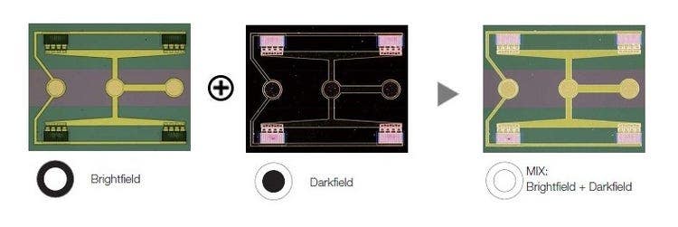 ウエハーサンプル上の回路パターン