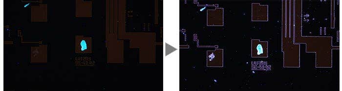 ウエハー上の異物（蛍光観察 / MIX：蛍光＋暗視野観察）