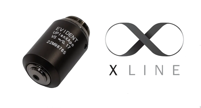 顕微鏡品質の画像を画面に