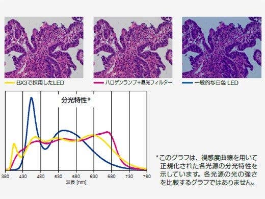 Bright LED Lighting Optimized for Pathology and Cytology