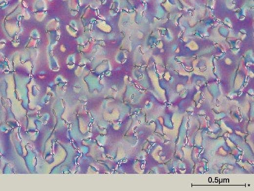 UIS2光学系の採用による優れたシステム性