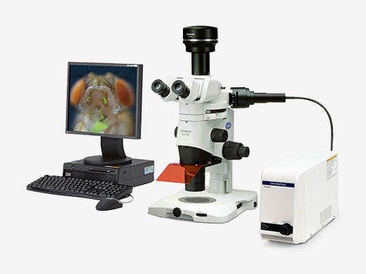 デジタルカメラによる画像の記録・保存が可能