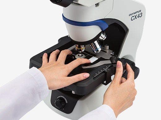 観察スタイルに応じたクレンメルを提供