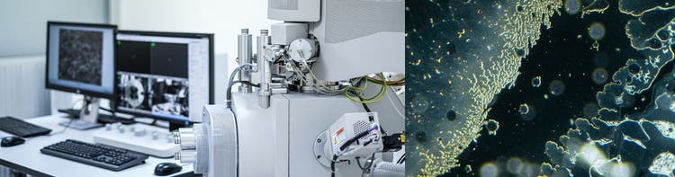 ミクロン以下の不良（欠陥）サイズ